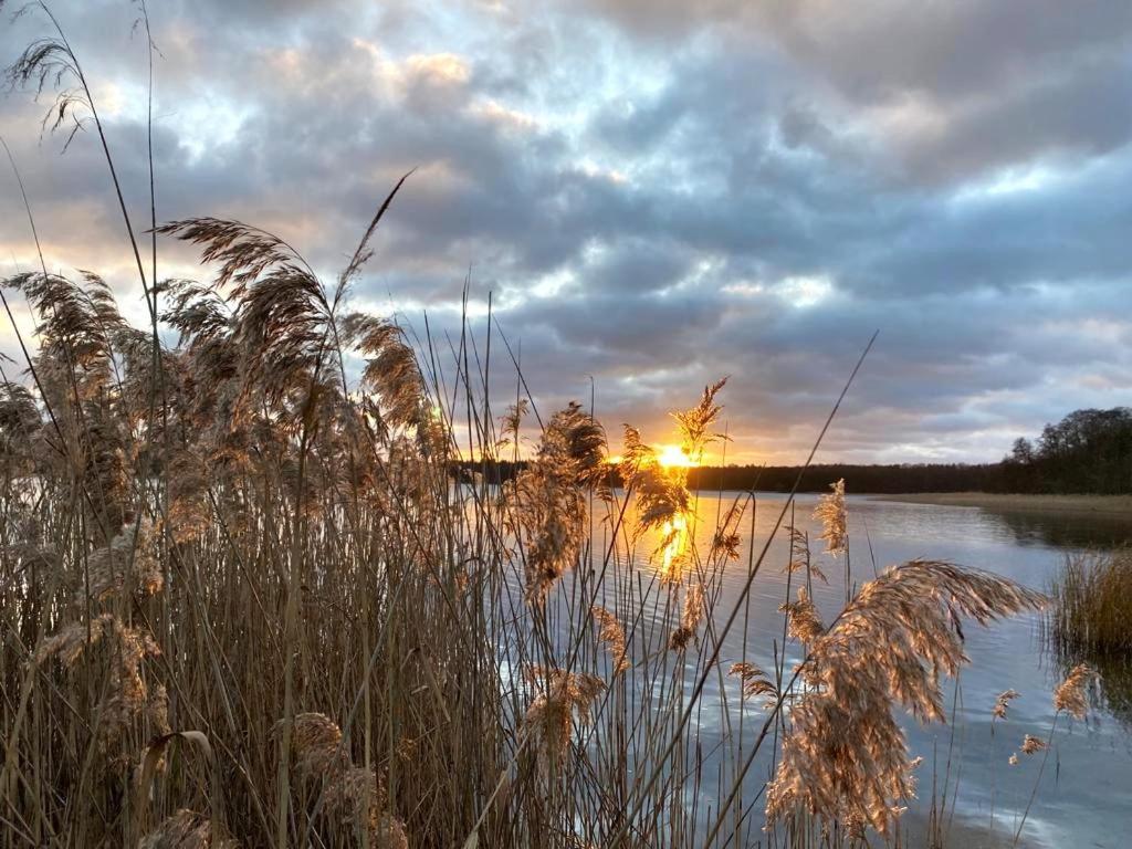 Ferienhaus Direkt Am See Uckermark Templin Ngoại thất bức ảnh