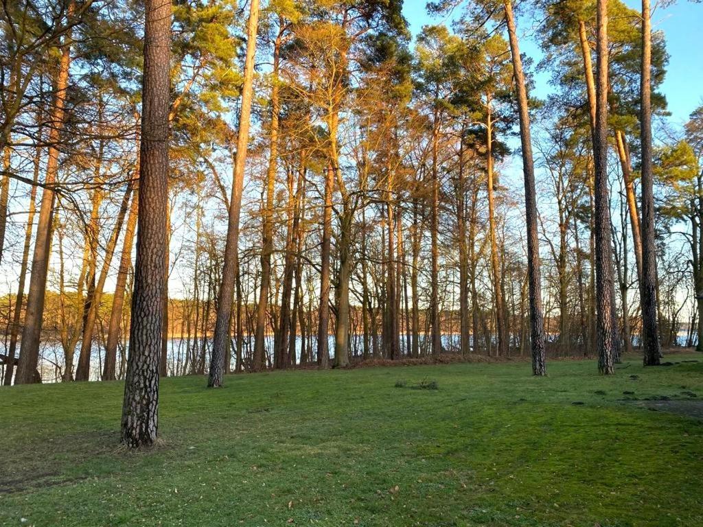 Ferienhaus Direkt Am See Uckermark Templin Ngoại thất bức ảnh